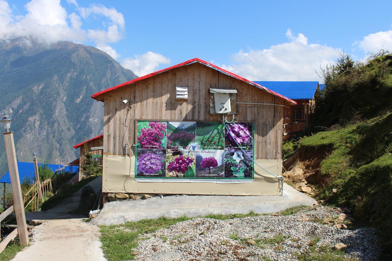 Blue Poppy Resorts Joshīmath Kültér fotó